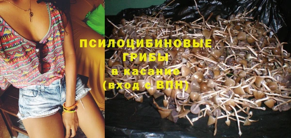 МДПВ Алзамай
