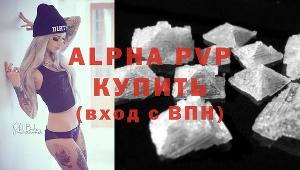 гидра Алексин