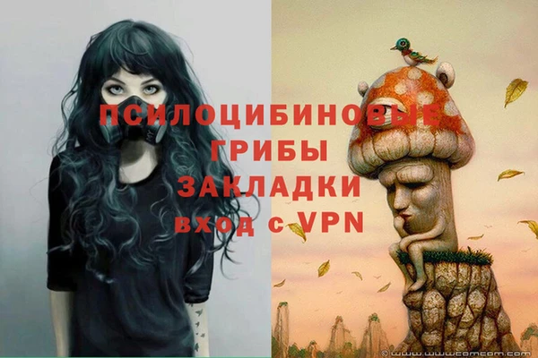 МДПВ Алзамай