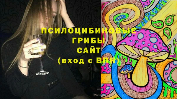 гидра Алексин
