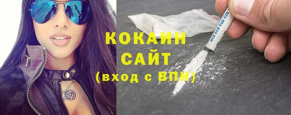 гидра Алексин
