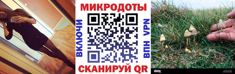 Галлюциногенные грибы Psilocybine cubensis  цены   Кола 